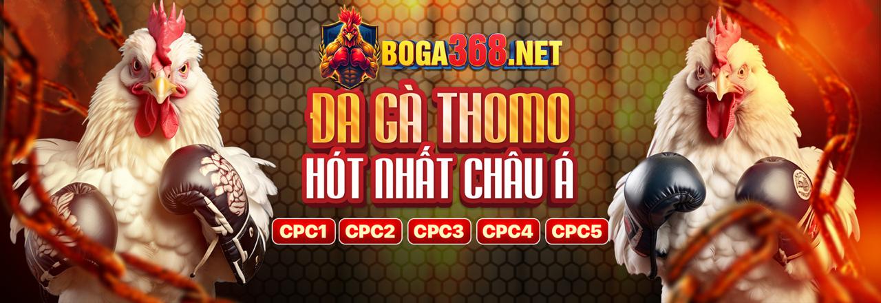 Tiêu chí lựa chọn top 10 nhà cái đá gà uy tín