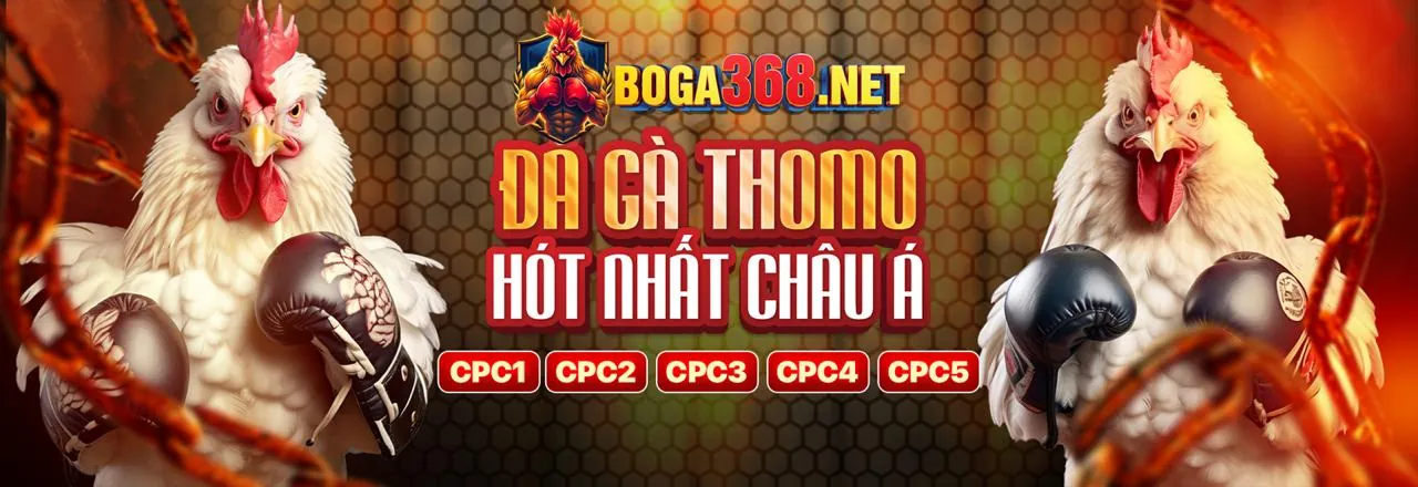 Các loại khuyến mãi phổ biến từ top 10 nhà cái uy tín